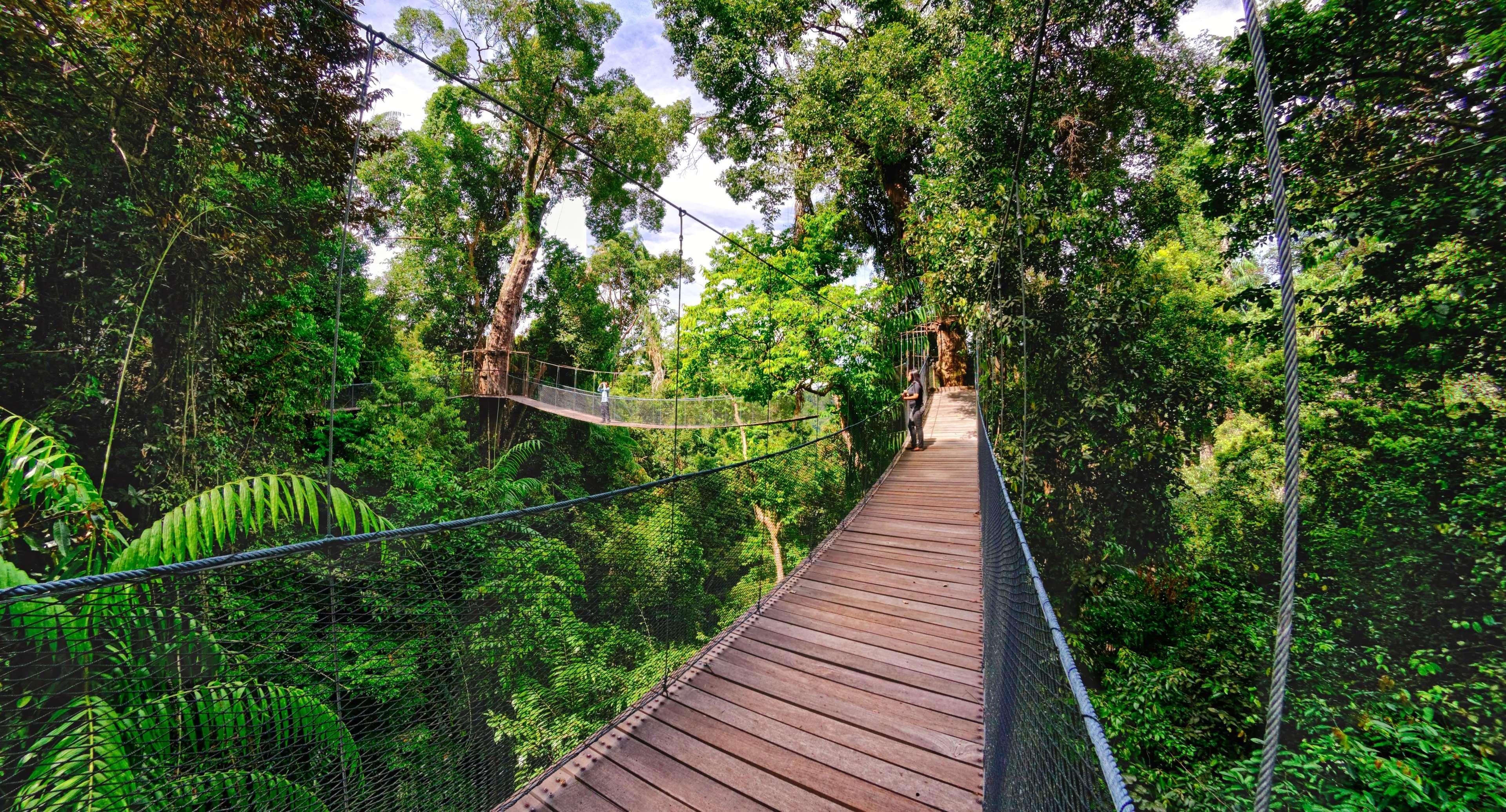 Bunga Raya Island Resort & Spa Pulau Gaya Luaran gambar